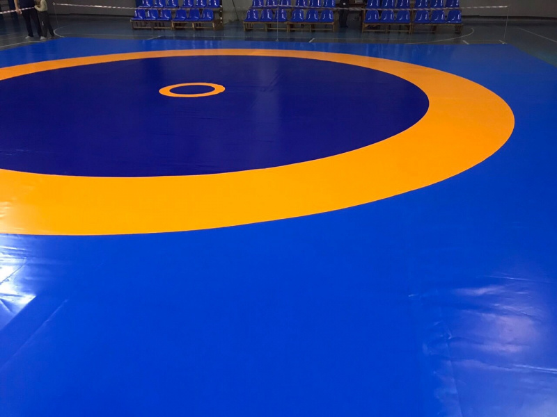 Буковинська борчина стала призером чемпіонату світу