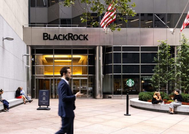 Австралійський мільярдер вкладе 500 млн дол. в один із фондів Black Rock для відновлення України