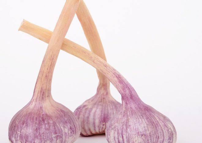 Які продукти відповідають найбільше білка: ТОП-10 джерел для вашого здоров’я.