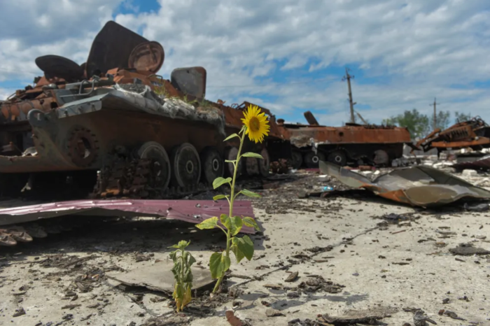 Відродження України має ґрунтуватися на зеленій електроенергії