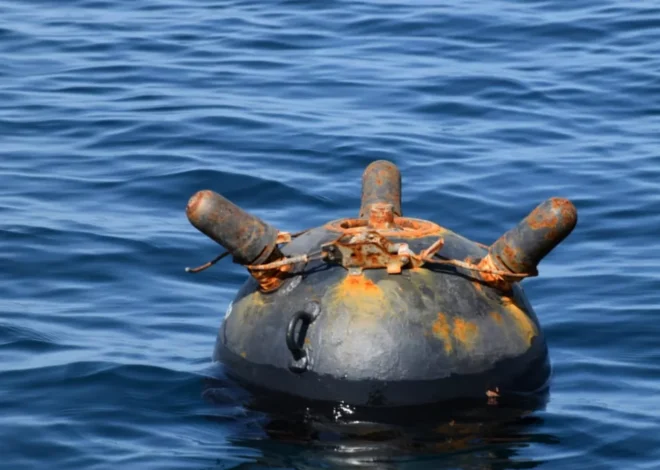 НАТО може приєднатися до розчищення Чорного моря від мін