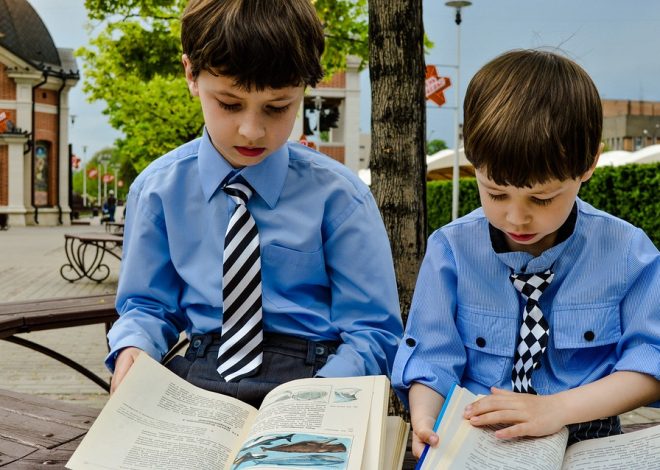 Основні ЗНО та іспити для вступу на економічний факультет: Все, що потрібно знати абітурієнту