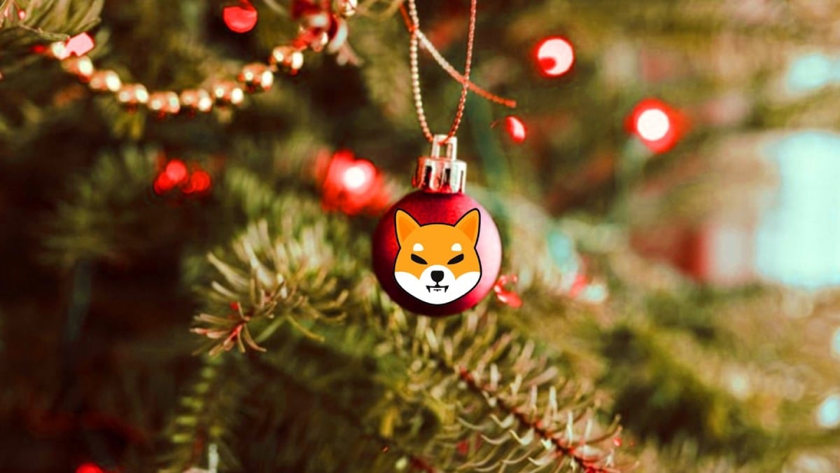 Власники Shiba Inu отримають домен «.SHIB», який функціонуватиме на Web2.0, Web3