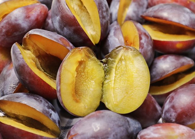 Топ-5 вітамінів для зміцнення імунітету: рекомендації експертів