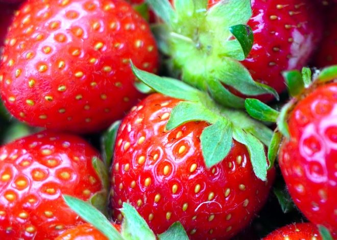 Молоко: Які Вітаміни Приховує Цей Продукт?