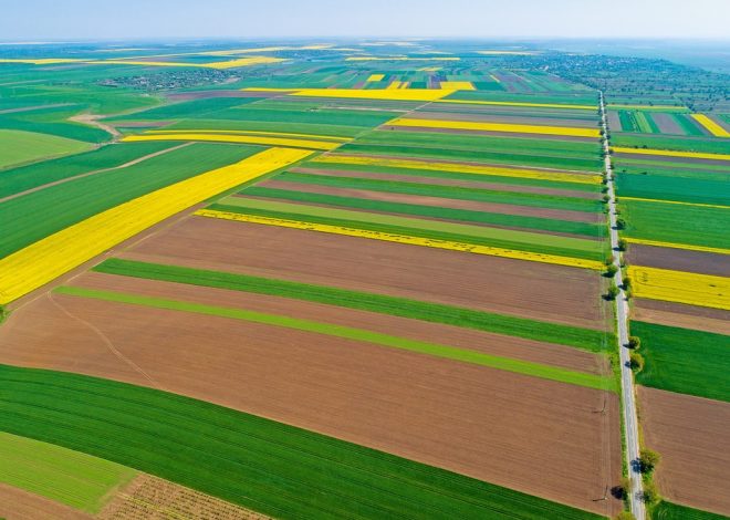 12 січня іменини — кого привітати сьогодні?