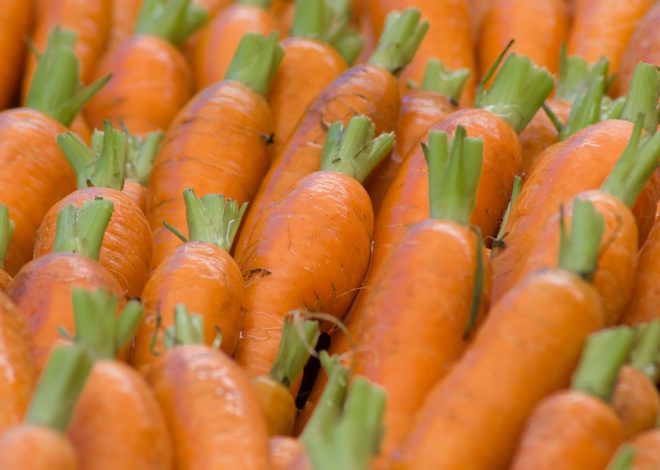 Які вітаміни обирати годуючій мамі для підтримання здоров’я?