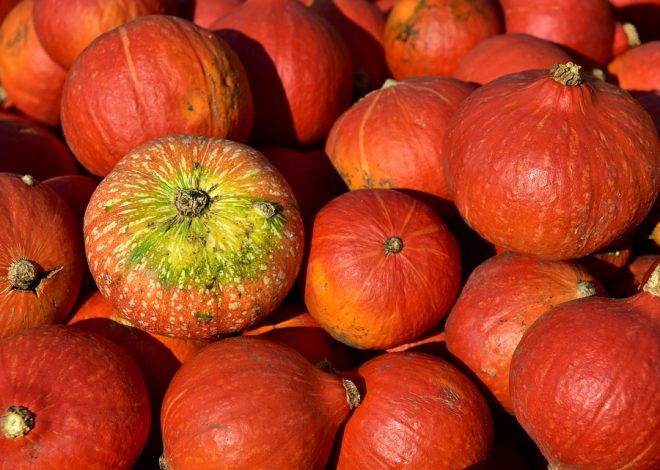Морква: які вітаміни роблять її суперпродуктом для вашого здоров’я?