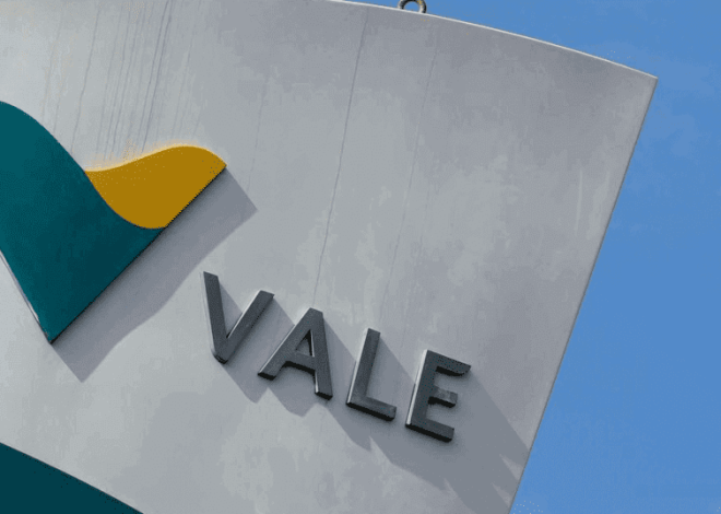 Vale побудує завод із виробництва залізорудних брикетів