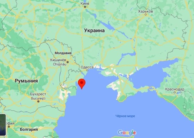 “Береза ​​звернулася до Зеленського: