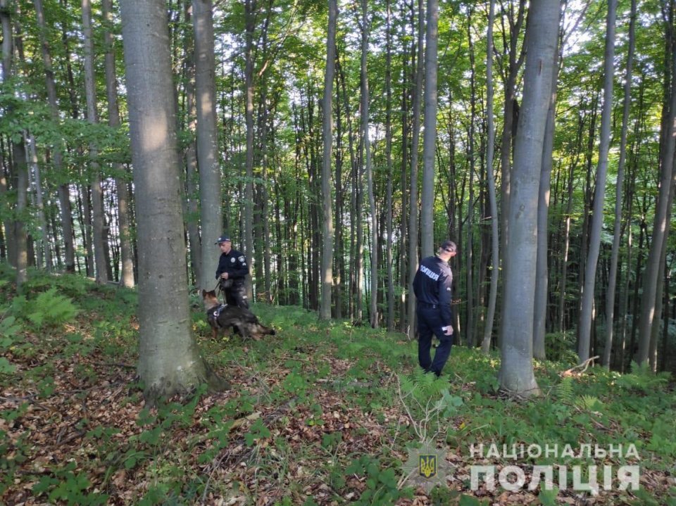 Четверо дітей шукають у Транскарпатії: пішли збирати ягоди та зникли