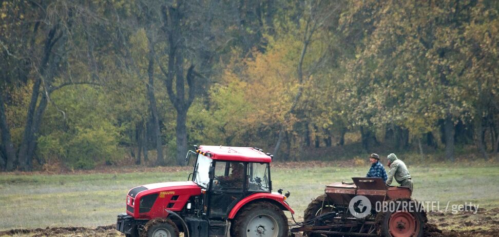 Шмигаль спрогнозував п’ятиразове подорожчання землі в Україні