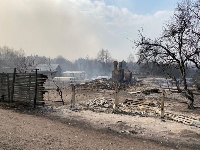 На Житомирщині вогонь охопив 4 тисячі гектарів лісу, згоріли десятки будинків (ФОТО+ВІДЕО)