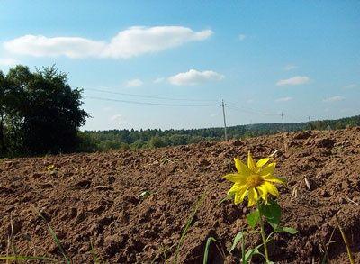 В Івано-Франківській області провели первинну нормативну грошову оцінку земель