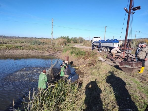 На Золотоніщині планують призначити нового керівника державного риборозплідника